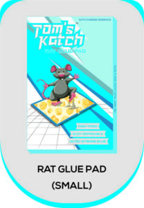 Small Mouse Glue Pad India